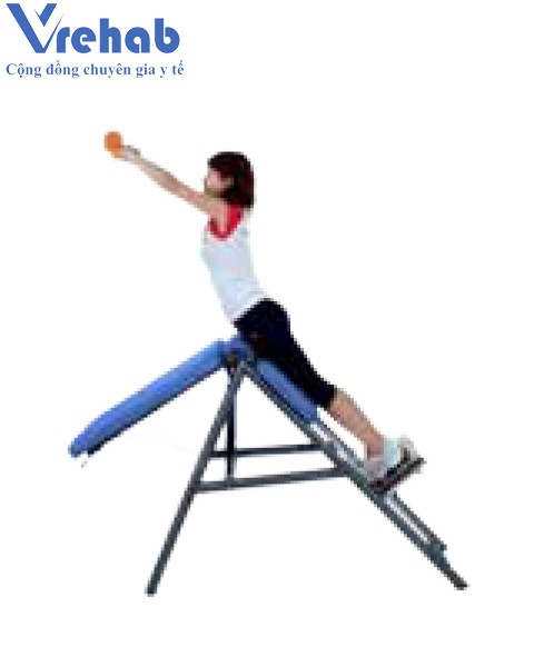 Thiết bị tập lưng hông tổng hợp Total Back 0